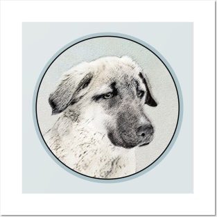 Anatolian Shepherd Posters and Art